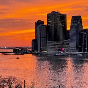 Meet your Posher, Sophie